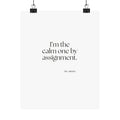 I’m the calm one by assignment - Poster - For Someone Who Stays