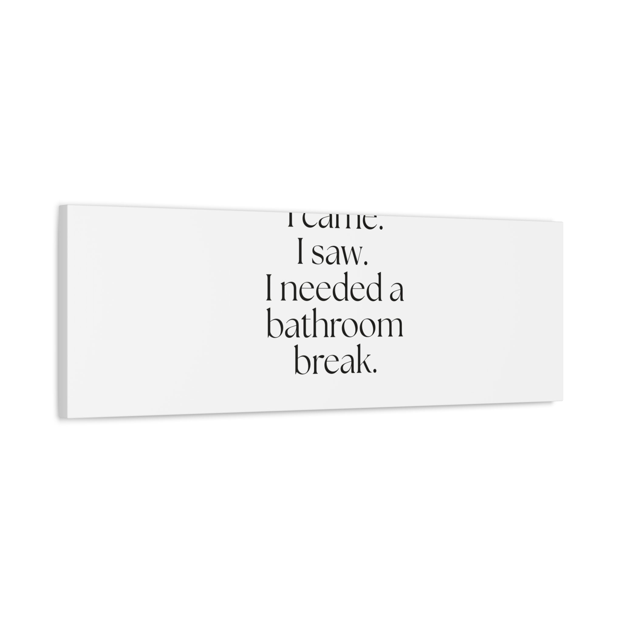 I came. I saw. I needed a bathroom break - Canvas Print - For Introverts