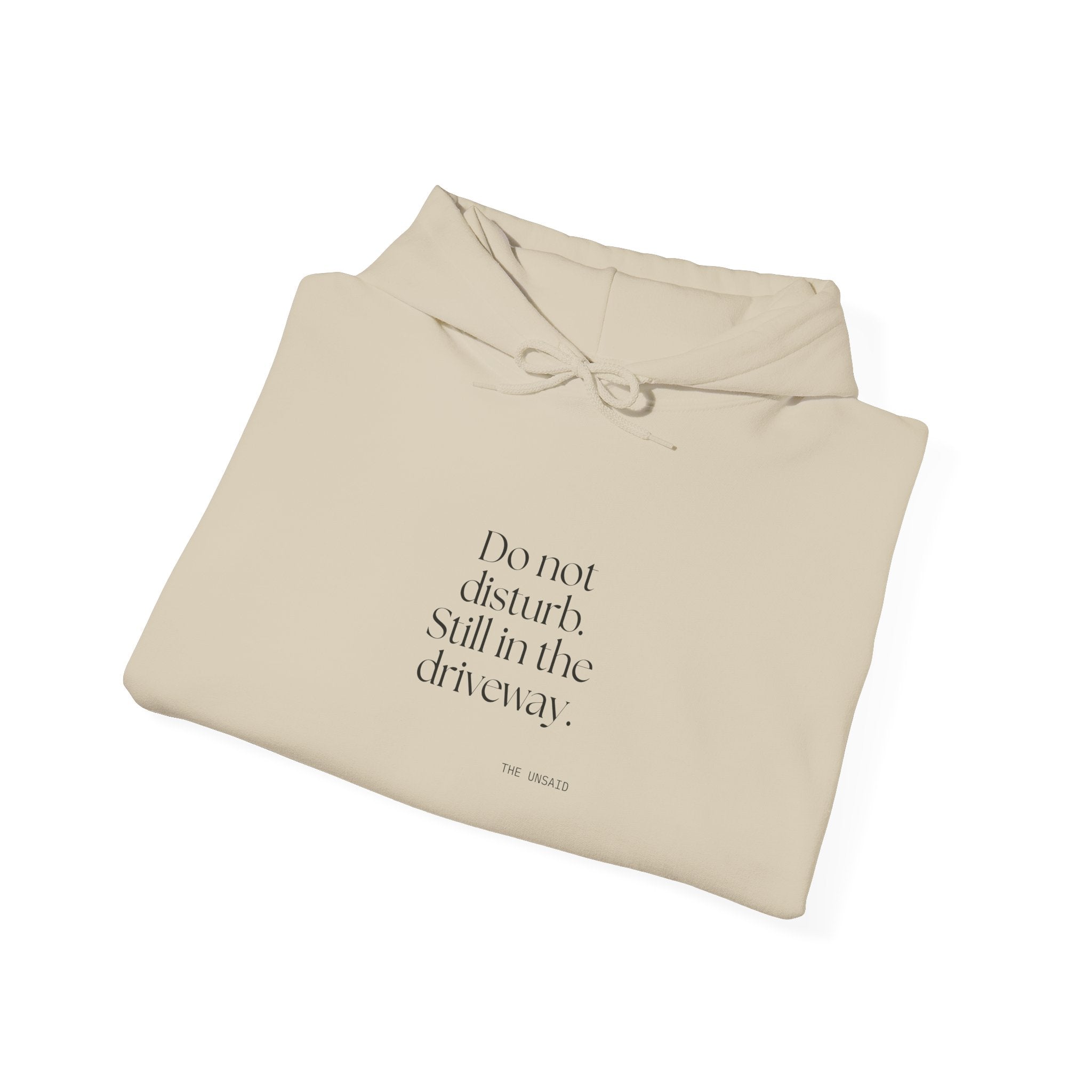 Do not disturb. Still in the driveway - Hoodie - For Quiet Minds