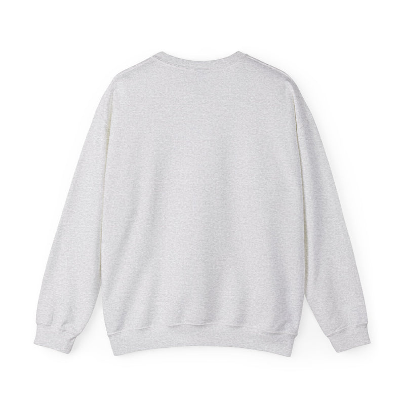 Sweatshirt — Vine porque dije que iba.