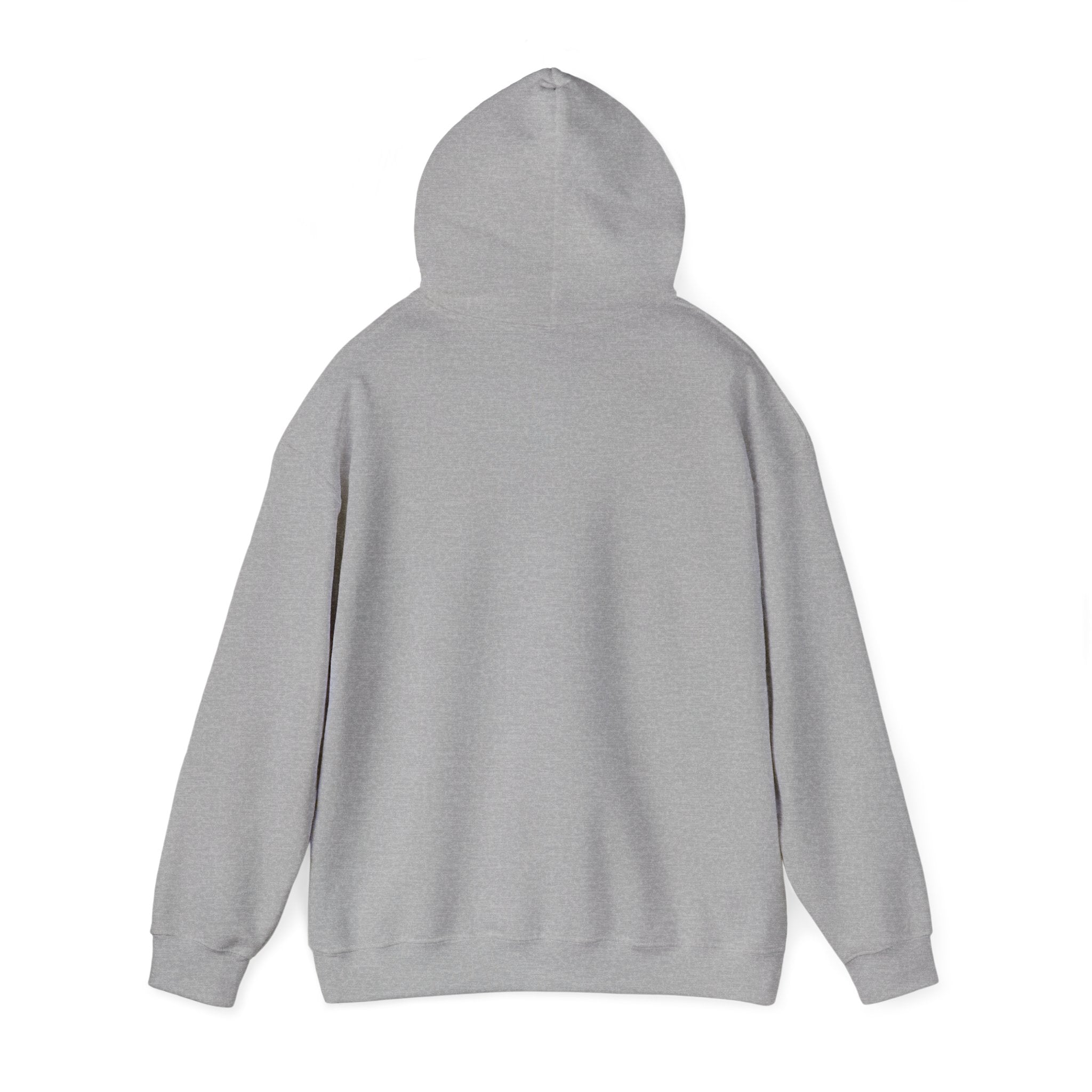 No advice. Just snacks - Hoodie - For Someone Who Stays