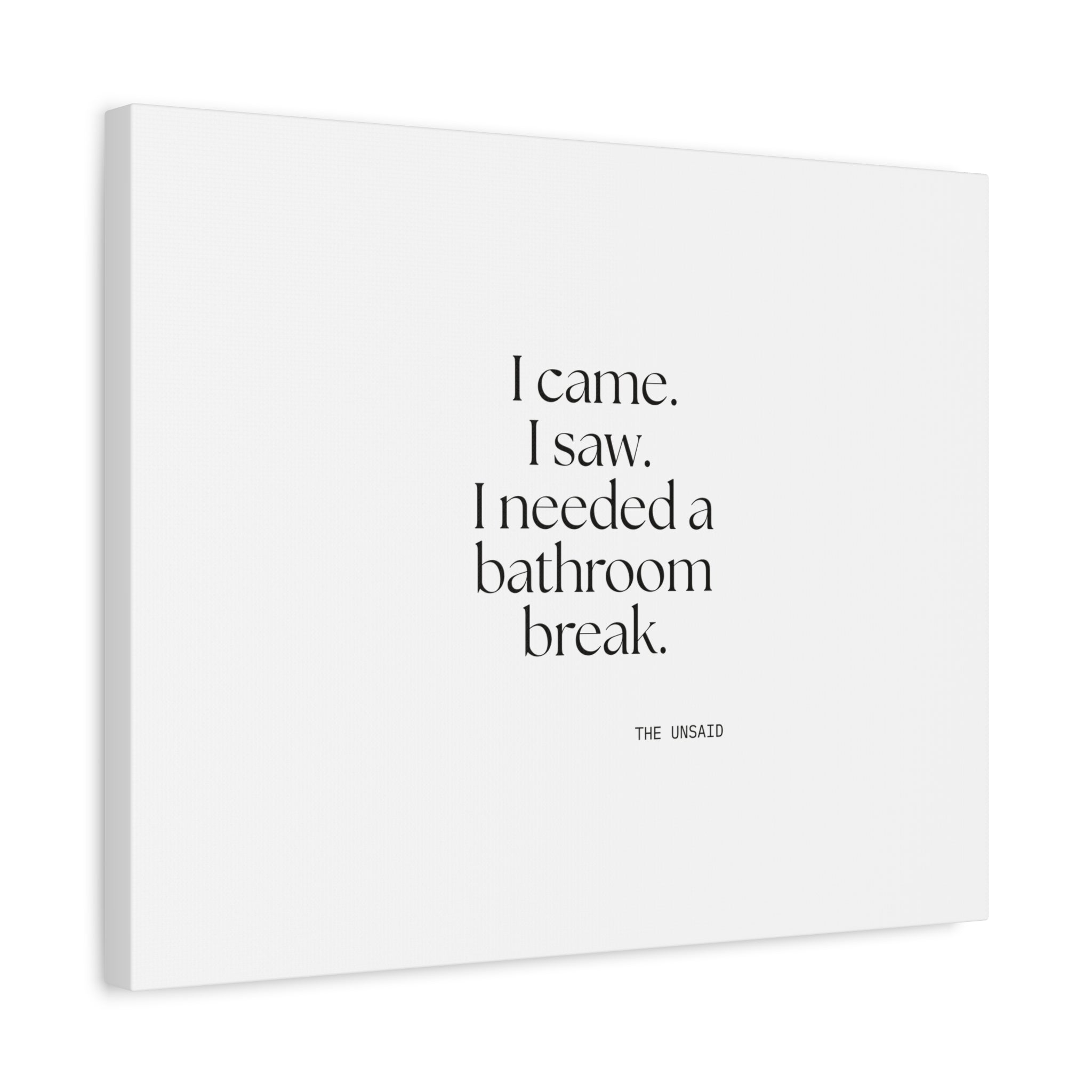 I came. I saw. I needed a bathroom break - Canvas Print - For Introverts