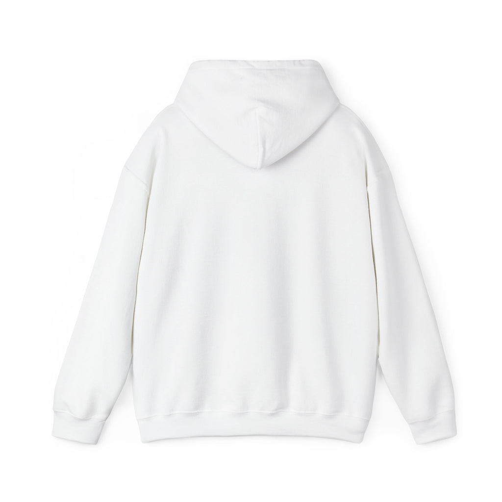I’m coping. Don’t audit it - Hoodie - For Introverts