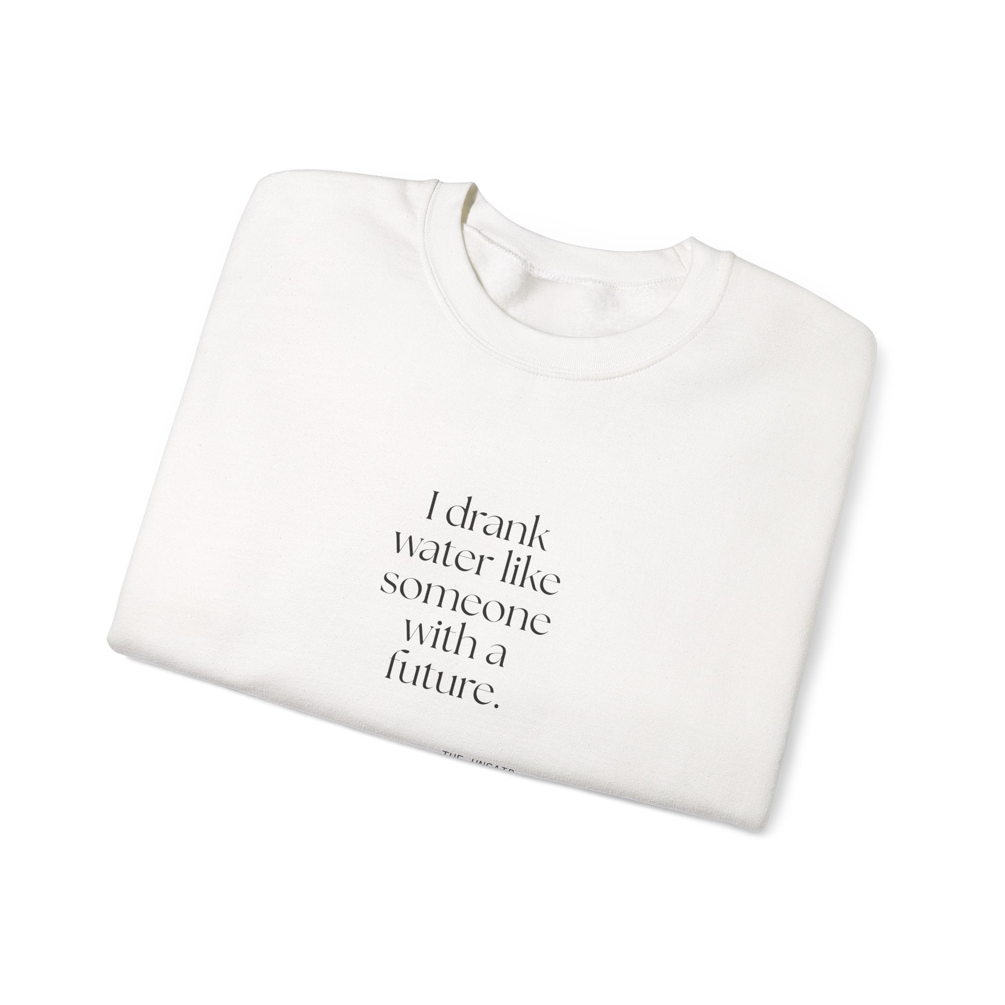 I drank water like someone with a future - Sweatshirt - Dry Humor