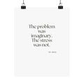 The problem was imaginary. The stress was not - Poster - For Overthinkers