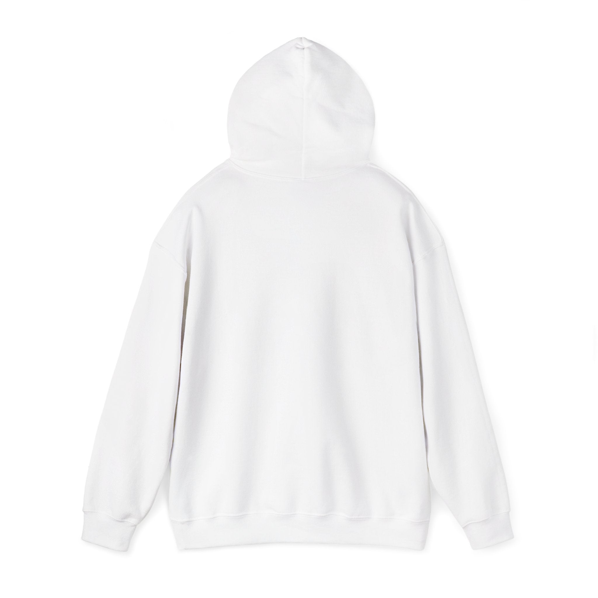 Me reí para no explicar - Hoodie - En Español