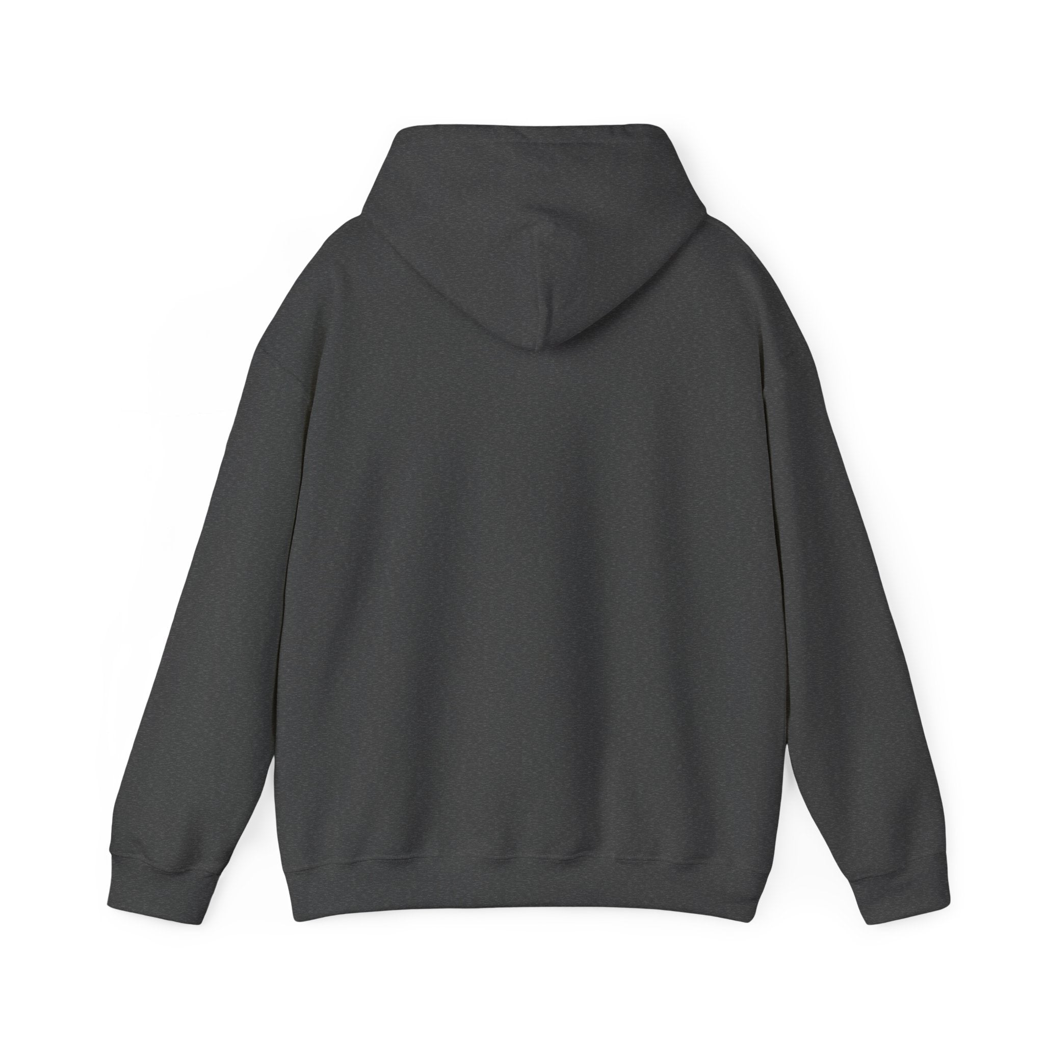My social battery came partially charged - Hoodie - For Introverts