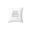 Do not disturb. Still in the driveway - Throw Pillow - For Quiet Minds