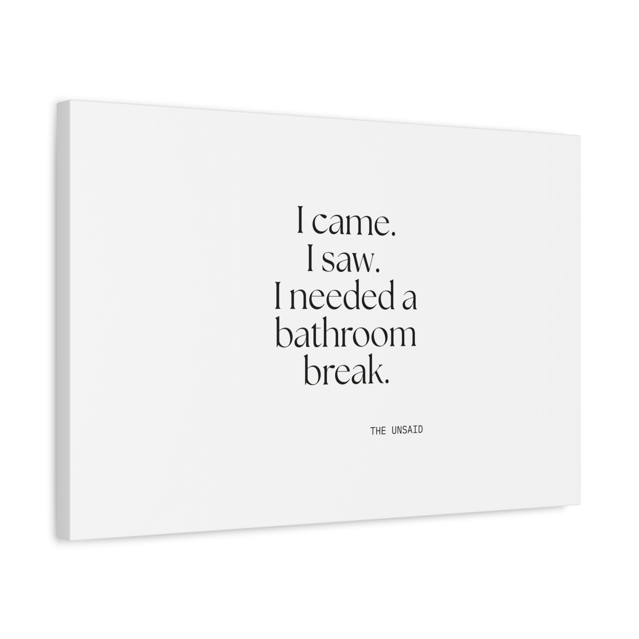 I came. I saw. I needed a bathroom break - Canvas Print - For Introverts