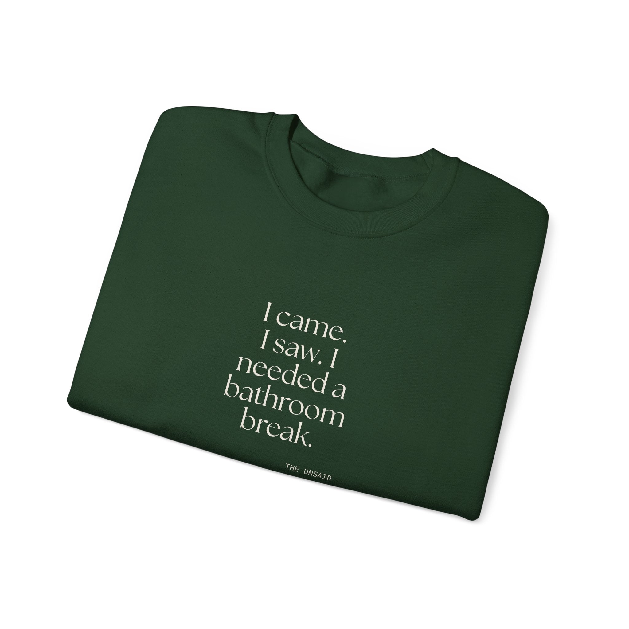 I came. I saw. I needed a bathroom break - Sweatshirt - For Introverts