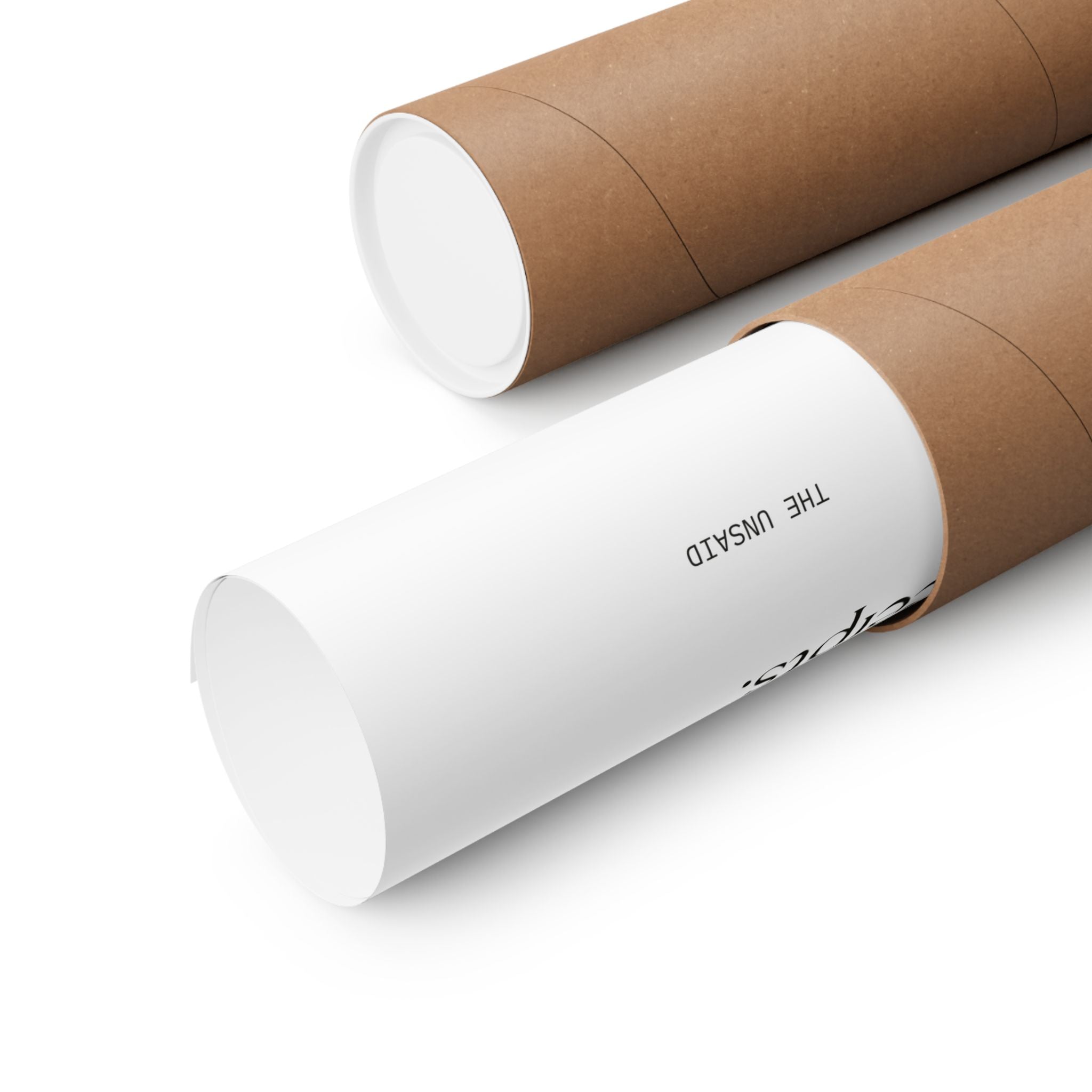 Healing, but with receipts - Poster - Dry Humor