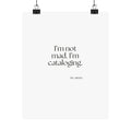 I’m not mad. I’m cataloging - Poster - Dry Humor