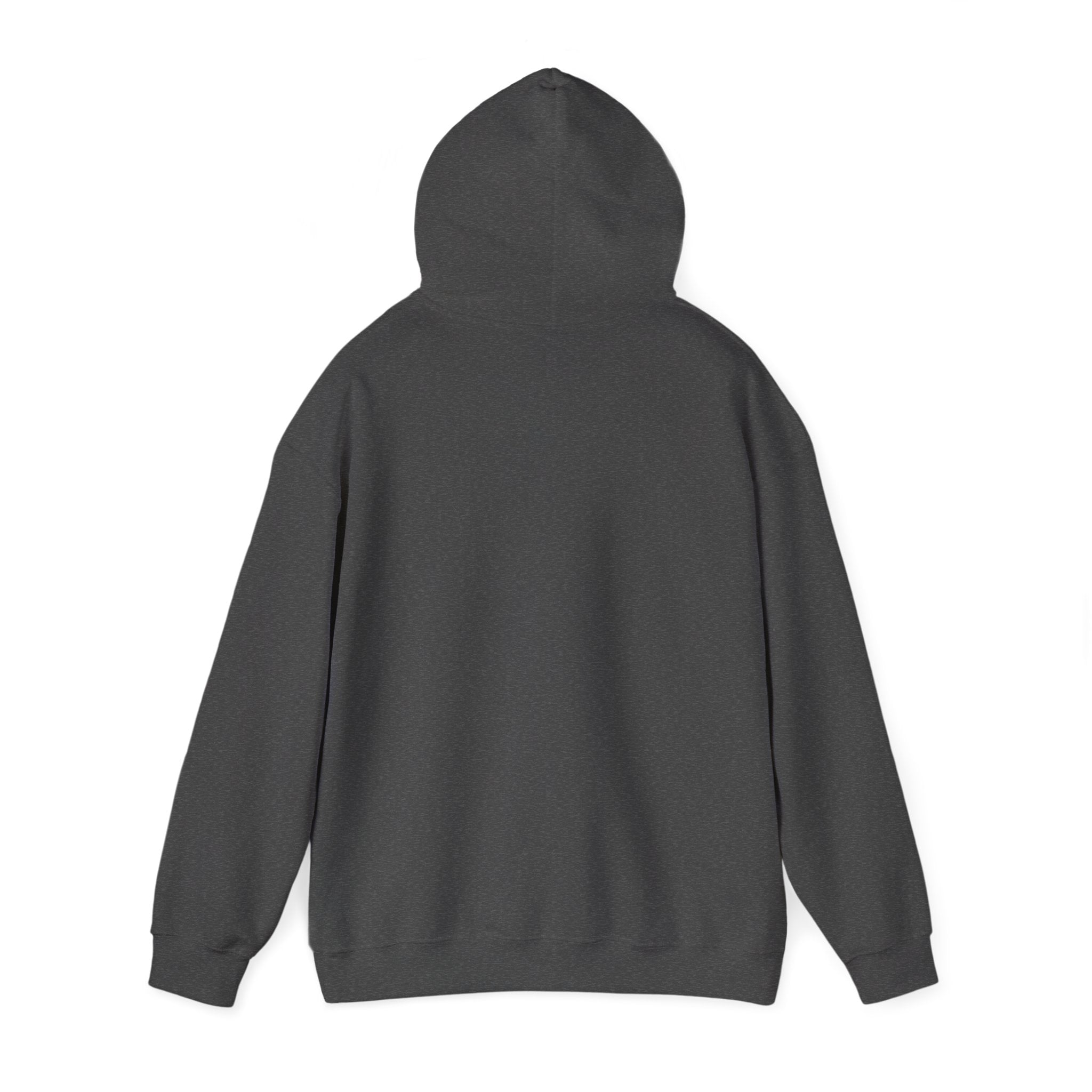 No advice. Just snacks - Hoodie - For Someone Who Stays