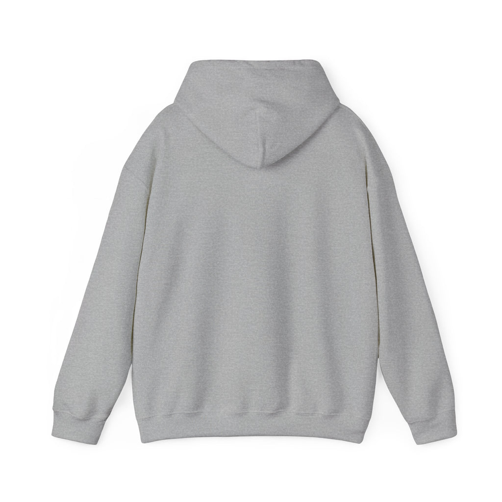 I’m self-aware. It’s not helping - Hoodie - Dry Humor